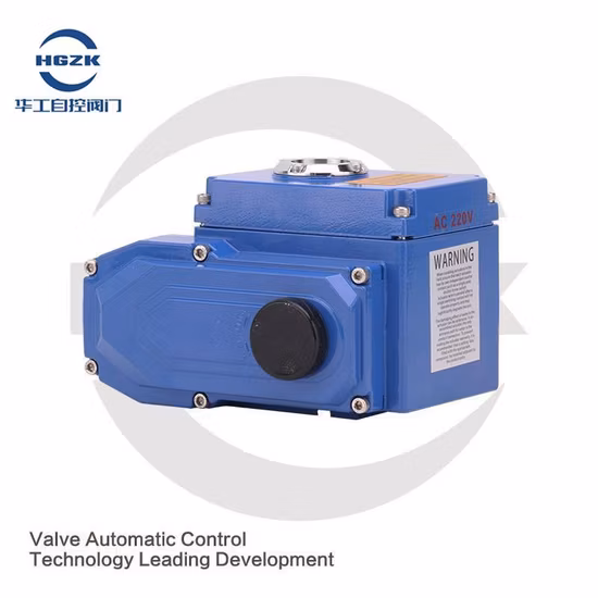 Explosion-Proof High Temperature Flange Tubular Immersion Circulation Process Inline Heater with Control Panel