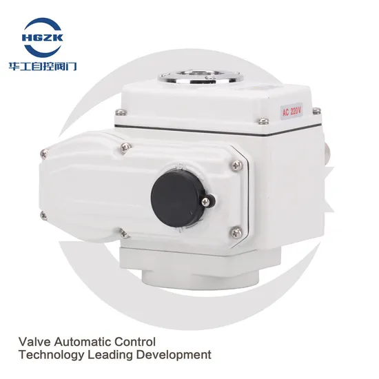 Explosion-Proof High Temperature Flange Tubular Immersion Circulation Process Inline Heater with Control Panel